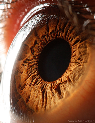Illustration for article titled Extreme close-ups of human eyes look like craters on Mars